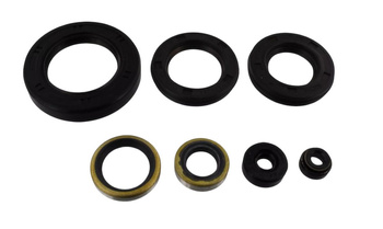 Tourmax komplet (zestaw) uszczelniaczy silnikowych kawasaki z 650 '77-79 (made in japan)