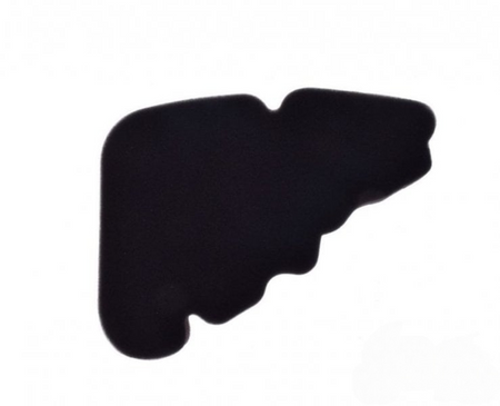 Filtr Powietrza Wkład Do Piaggio Liberty 125 4T