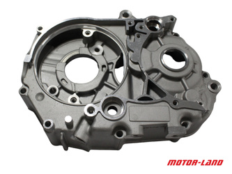 Karter Silnika Lewy Yx110 Apollo Rxf Junior