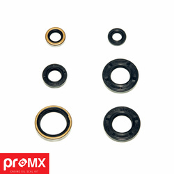 komplet (zestaw) uszczelniaczy silnikowych ktm 65 '98-'08 (6 szt.)