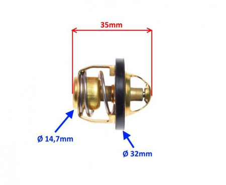 Termostat układu chłodzenia 60 stopni