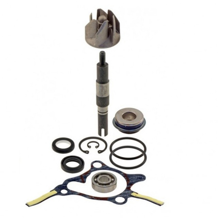 Zestaw Naprawczy Pompa Wody Honda Foresight 250