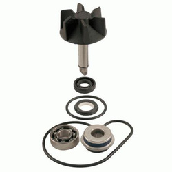 Zestaw Naprawczy Pompa Wody Burgman 125 / 250 / 400 Epicuro