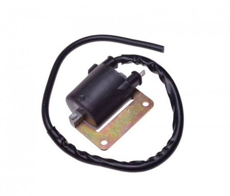 Cewka zapłonowa skutery Aprilia Piaggio Gilera 125